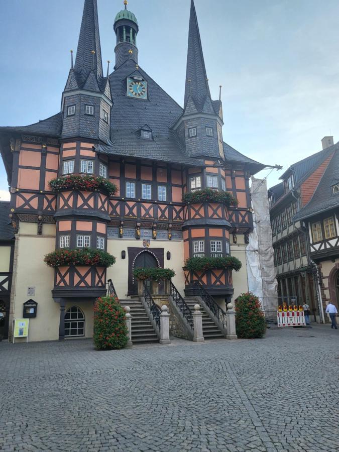 Appartement Zur Bergoase Mi Schwimmbad Hohegeiß エクステリア 写真