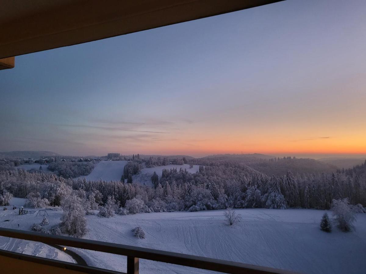 Appartement Zur Bergoase Mi Schwimmbad Hohegeiß エクステリア 写真